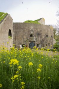 Fort Everdingen