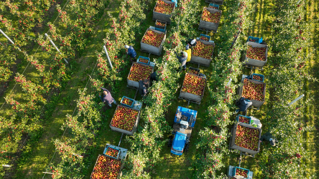 Natuurlijk verdienvermogen: agrotoerisme als motor voor het buitengebied