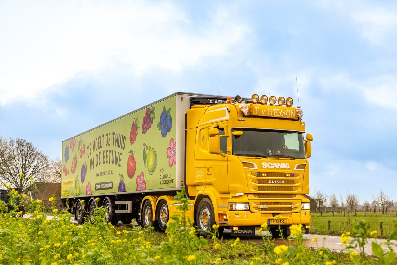 Eye-catchers op de weg!