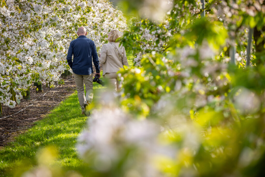 Coypright Stichting Bureau Toerisme Seijbel Photography--17 1 - Stichting Bureau Toerisme