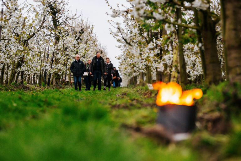 Toerisme-Sint-Truiden-Vuurbloesemwandeling-20230422-WEB-079