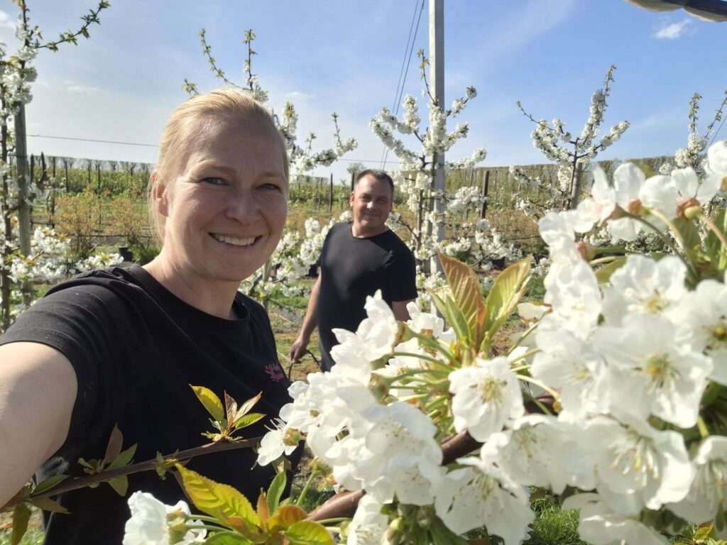 Fruitbedrijf familie Flikweert - Stichting Bureau Toerisme Smiling woman taking a selfie in a blossoming orchard with white flowers on the trees and a man in the background.