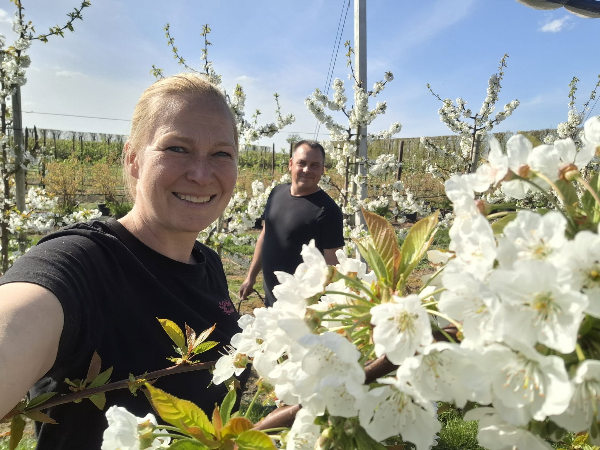 Fruitbedrijf familie Flikweert - Stichting Bureau Toerisme - Stichting Bureau Toerisme Smiling woman taking a selfie in a blossoming orchard with white flowers on the trees and a man in the background.